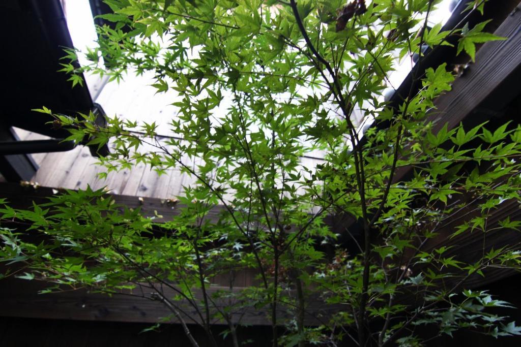 교토 Anzu An Machiya House 빌라 객실 사진